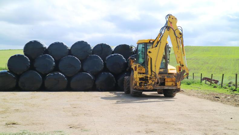 Farm Profit Programme: fodder budget now to address shortages Farm Profit Programme: fodder budget now to address shortages