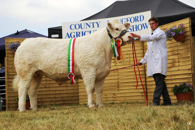 Slight drop in temperature aids super show day in Longford Slight drop in temperature aids super show day in Longford