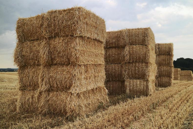 Early harvest providing additional crop opportunities Early harvest providing additional crop opportunities