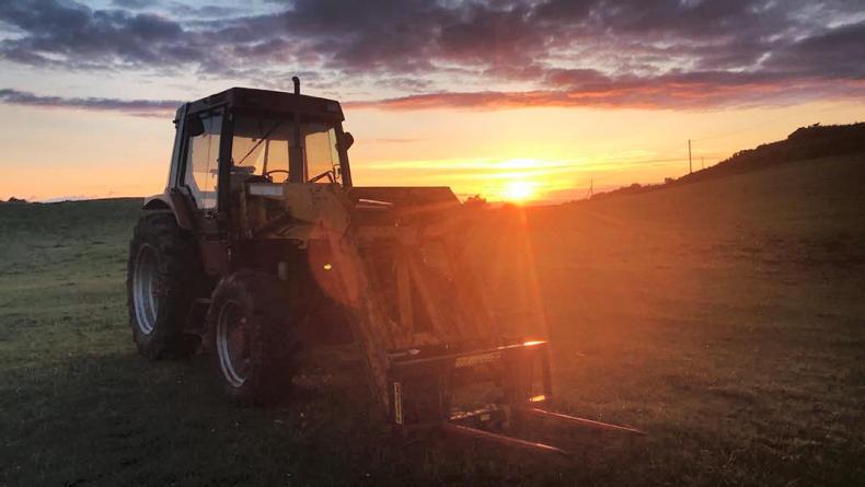 Agri jobs: farm assistant and pig stockperson wanted Agri jobs: farm assistant and pig stockperson wanted