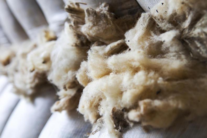 Small improvement in wool prices Small improvement in wool prices