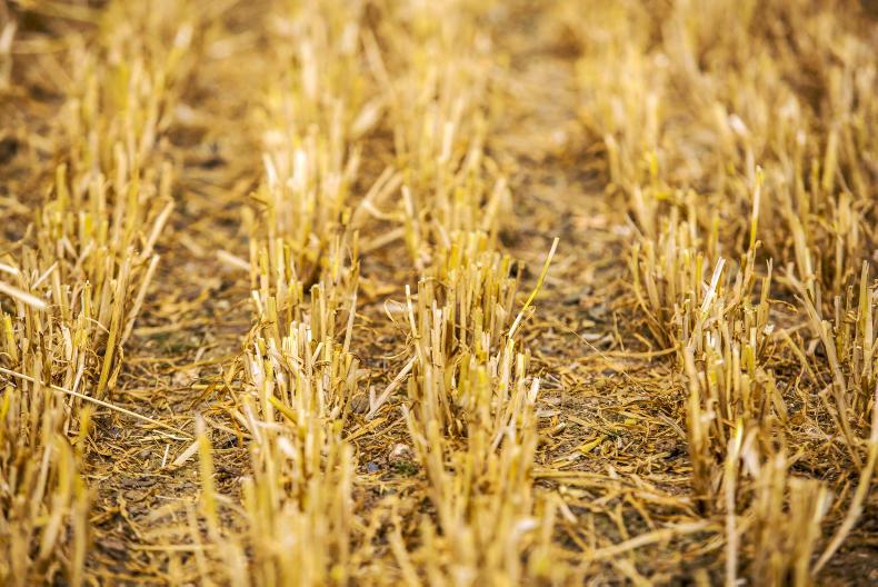 Tillage management: fine tune the combine for the crop and the season Tillage management: fine tune the combine for the crop and the season