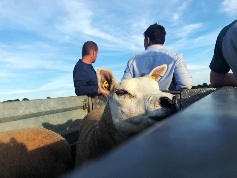 Agri jobs: farmers and agribusinesses in search of workers - Free