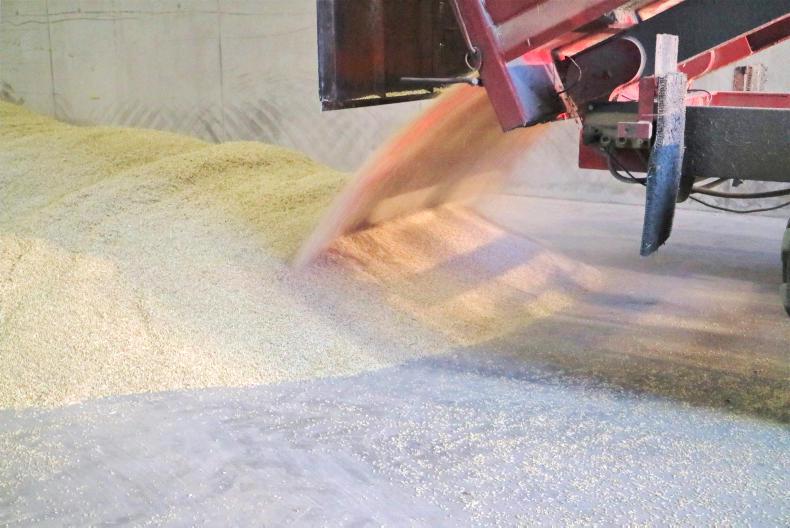 Feed&Finance: what's the value of rolled barley? Feed&Finance: what's the value of rolled barley?