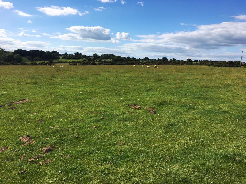 Former IFA rep's farm sold in Cavan and €11,500 in Wicklow Former IFA rep's farm sold in Cavan and €11,500 in Wicklow