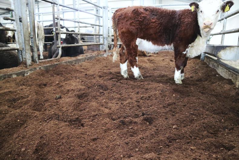 Rapid increase in demand for peat moss bedding Premium