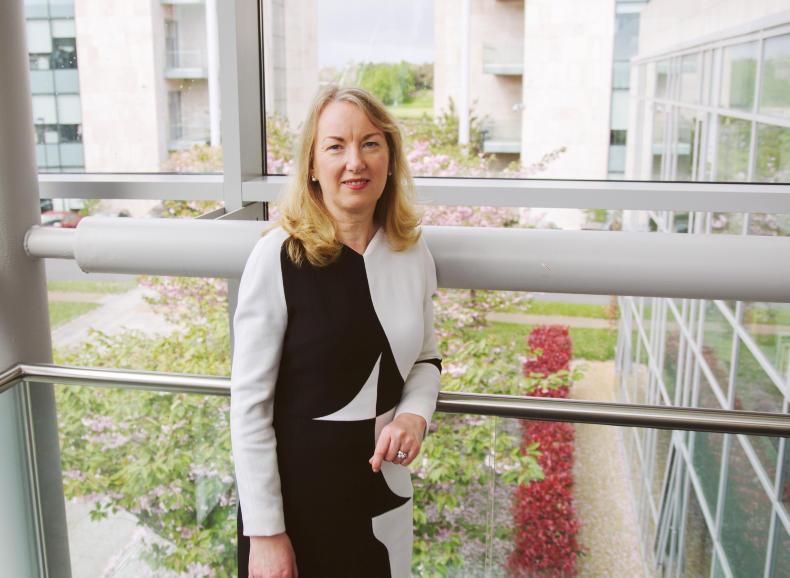 Performance nutrition drags Glanbia’s profits in first six months Performance nutrition drags Glanbia’s profits in first six months