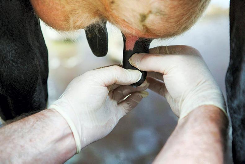 Farm Profit Programme: Preparation for autumn calving Farm Profit Programme: Preparation for autumn calving