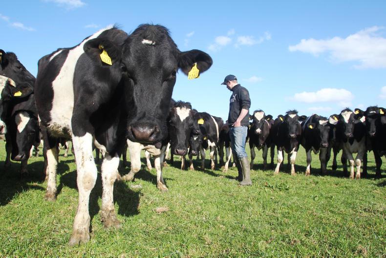 Farmer writes: moisture a scarce commodity in Kilkenny Farmer writes: moisture a scarce commodity in Kilkenny