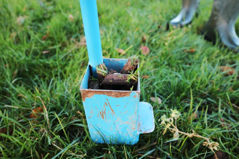 Increase in concentrates could see farmers breach phosphorus limits Increase in concentrates could see farmers breach phosphorus limits