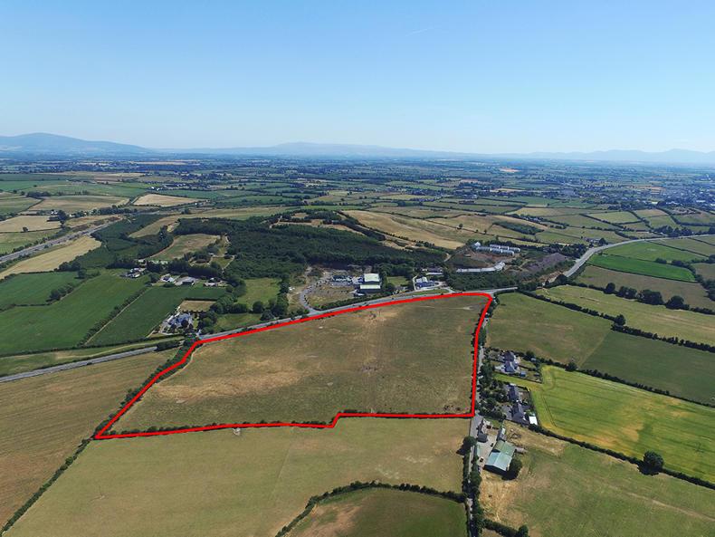Tipperary farm guided at €11,300/ac Premium