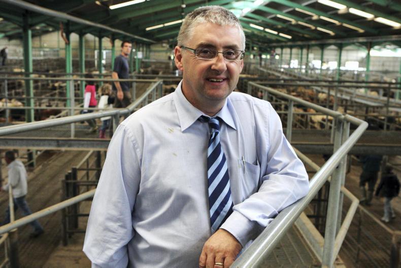 Mart manager comment: Martin McNamara, Clare Marts Mart manager comment: Martin McNamara, Clare Marts