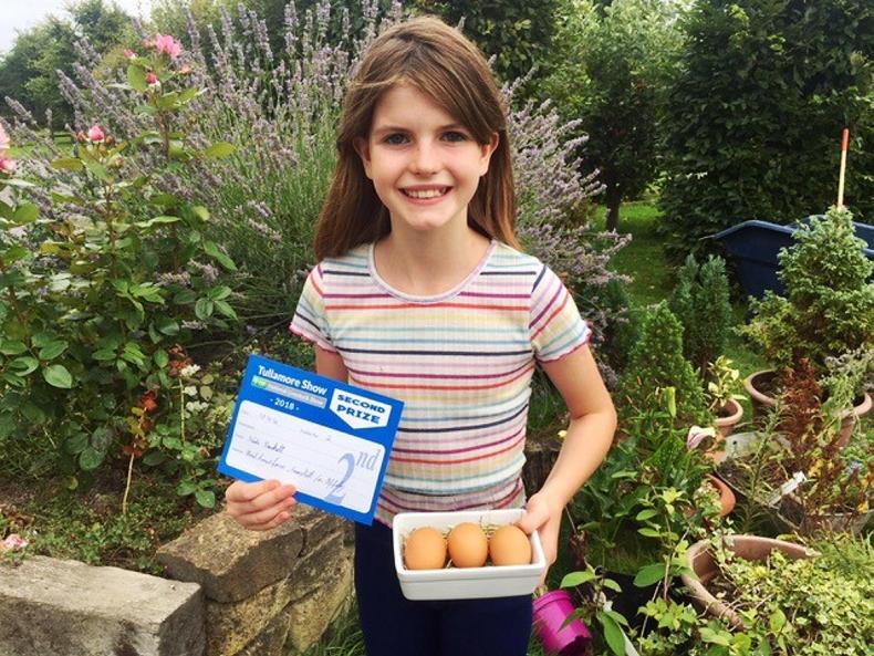 Charlie's corner: back to school, prize-winning eggs and Tullamore Charlie's corner: back to school, prize-winning eggs and Tullamore