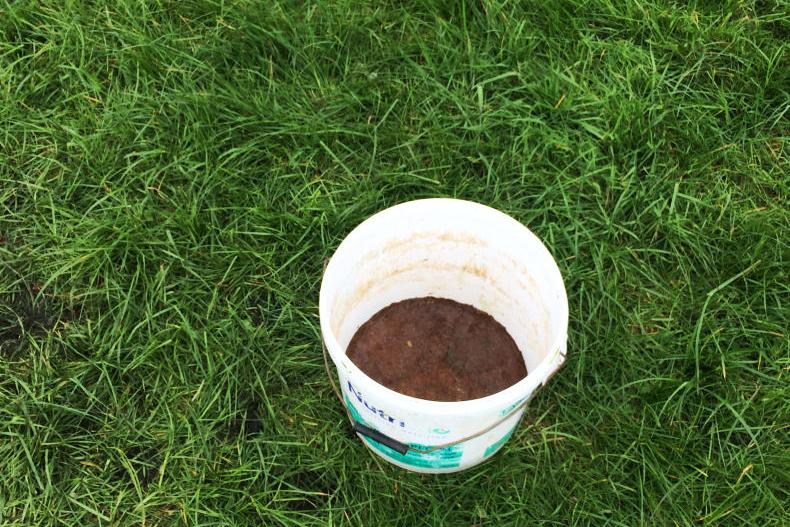 Beef management: grass tetany risk and finishing stock Beef management: grass tetany risk and finishing stock