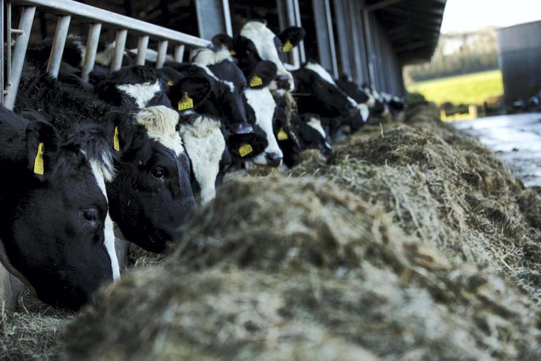 Dairy management: consider all options for culling Dairy management: consider all options for culling
