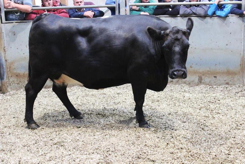 Beef prices slowly improving as demand grows Beef prices slowly improving as demand grows