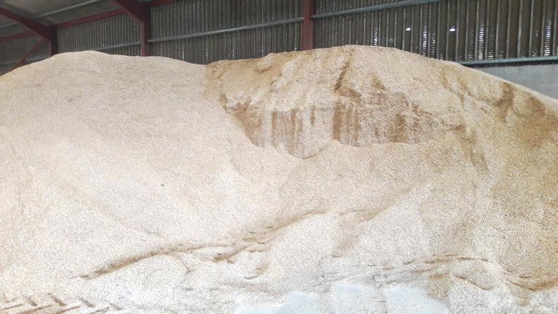 Farm Profit Programme: winter fodder secured at Cranna Farm Profit Programme: winter fodder secured at Cranna