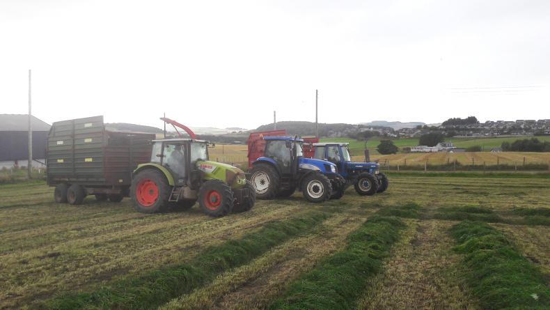 Farm Profit Programme: winter fodder secured at Cranna Farm Profit Programme: winter fodder secured at Cranna