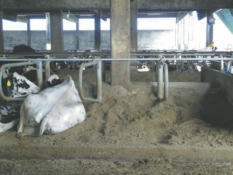 SlurryKat to bring new bedding system to the Ploughing SlurryKat to bring new bedding system to the Ploughing