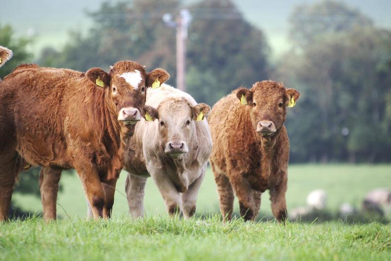 'Better engagement needed with consumers on animal welfare' 'Better engagement needed with consumers on animal welfare'