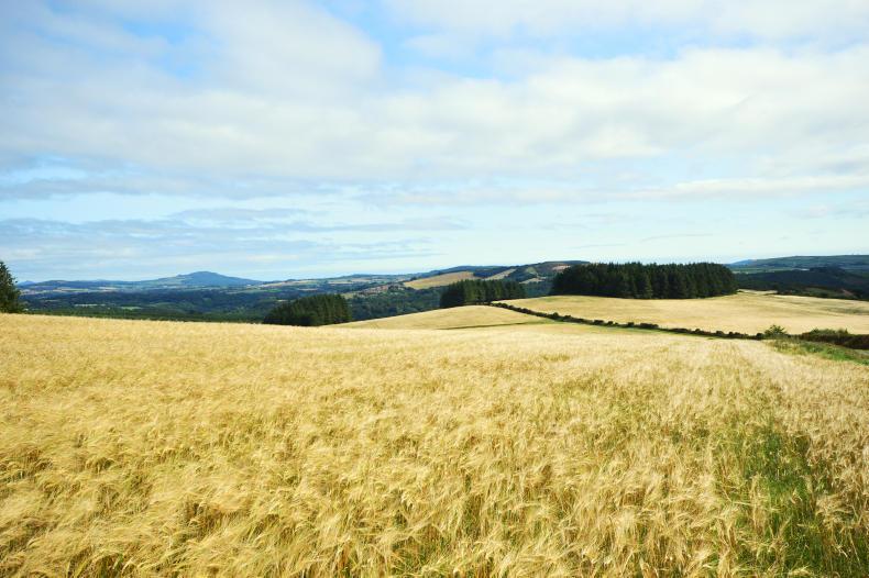 Tillage land guided for €6,000/ac Tillage land guided for €6,000/ac