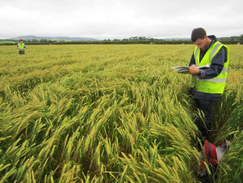 Five-year survey of Irish soils begins Five-year survey of Irish soils begins