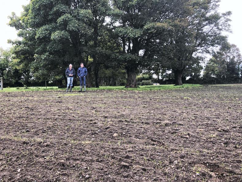 BETTER Farm: mighty grass in Mayo BETTER Farm: mighty grass in Mayo