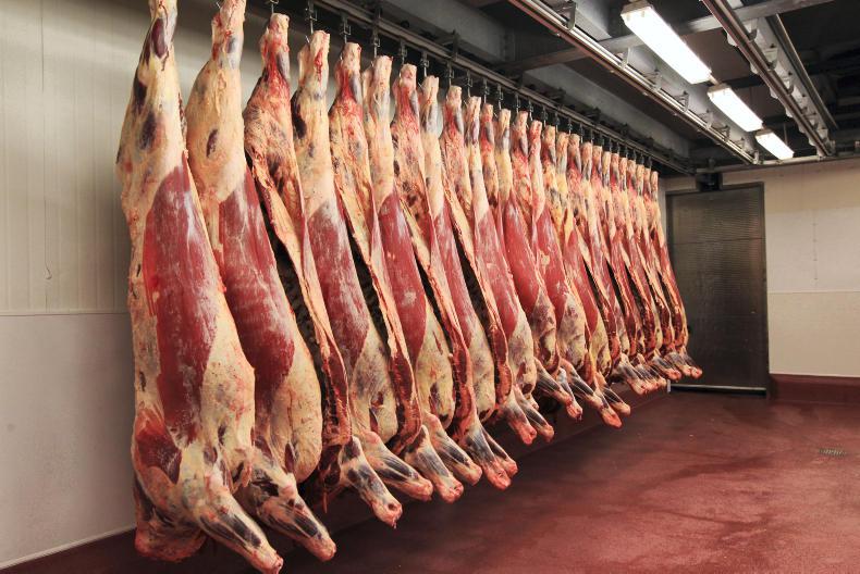 Beef trends update: kill holding big but plenty of appetite Beef trends update: kill holding big but plenty of appetite