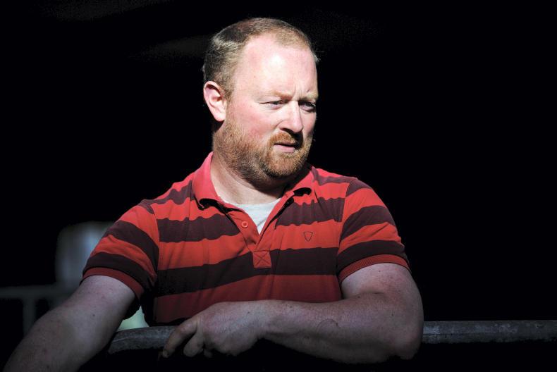 Farmer Writes: a watershed year for Irish farming Farmer Writes: a watershed year for Irish farming