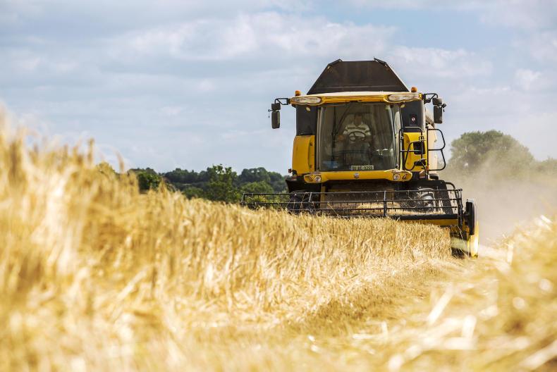 9% drop in Scottish cereal production 9% drop in Scottish cereal production