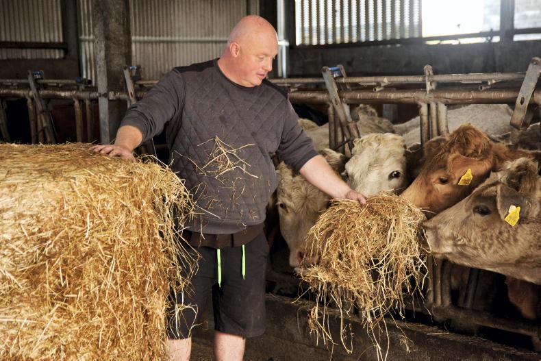 The farmer's daily wrap: beef protest, Brexit and Jeep theft bust