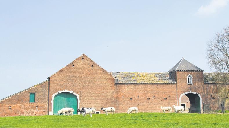 Destination Belgium: Irish beef and sheepmeat gaining momentum Destination Belgium: Irish beef and sheepmeat gaining momentum