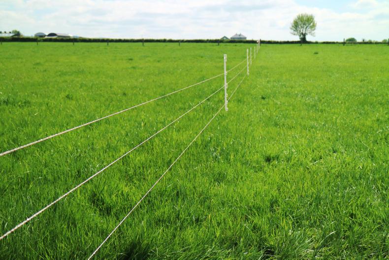 Sheep management notes: reducing labour on the farm Sheep management notes: reducing labour on the farm