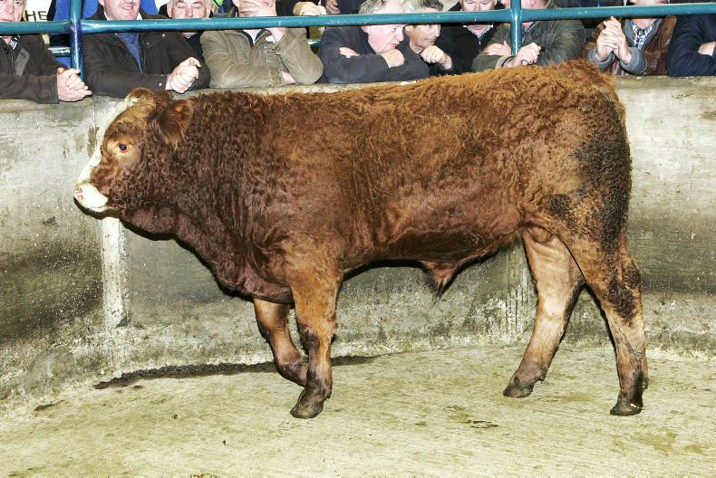 Camera at the mart forward stores in demand at Hilltown Premium