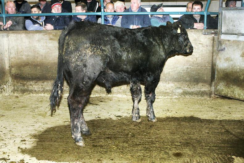 Camera at the mart forward stores in demand at Hilltown Premium