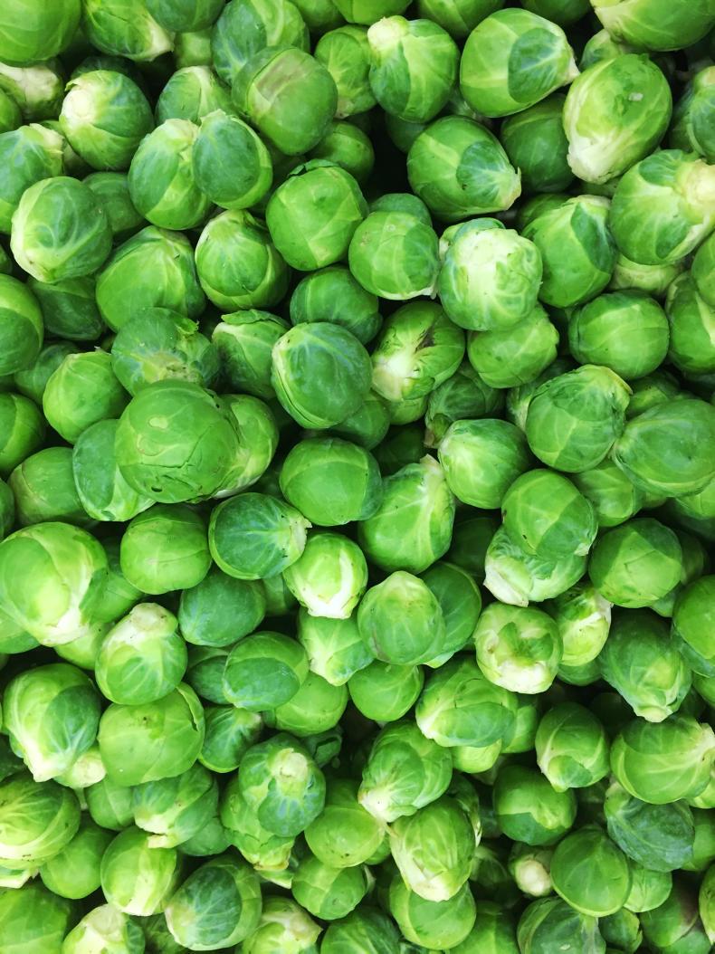 GIY: there is always a cost to cheap food down the line GIY: there is always a cost to cheap food down the line