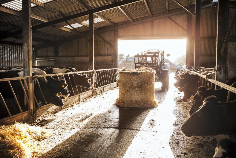 Farmers urged to avoid complacency on fodder deficits Farmers urged to avoid complacency on fodder deficits