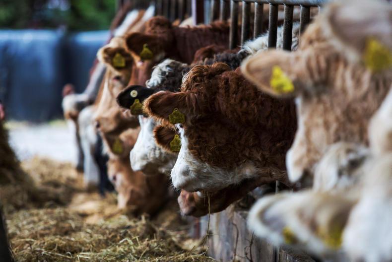 Weekend weather: mostly fine and sunny, with cooler temperatures Weekend weather: mostly fine and sunny, with cooler temperatures