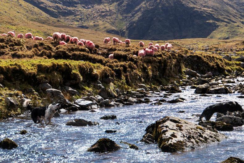 Walkers to follow guidelines on lands on MacGillycuddy's Reeks Walkers to follow guidelines on lands on MacGillycuddy's Reeks