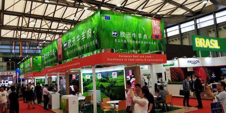 Swine fever crisis in China Swine fever crisis in China