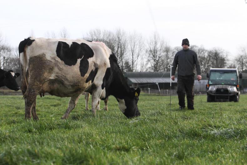 Farmer Writes: settling into once-a-day milking Farmer Writes: settling into once-a-day milking