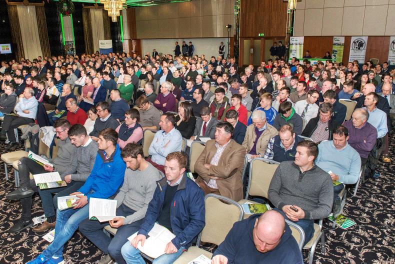 Listen: sexed semen disappoints, but still hope Listen: sexed semen disappoints, but still hope