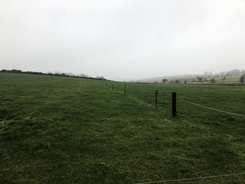 BETTER farm: busy but prosperous spring ahead for Padraig BETTER farm: busy but prosperous spring ahead for Padraig