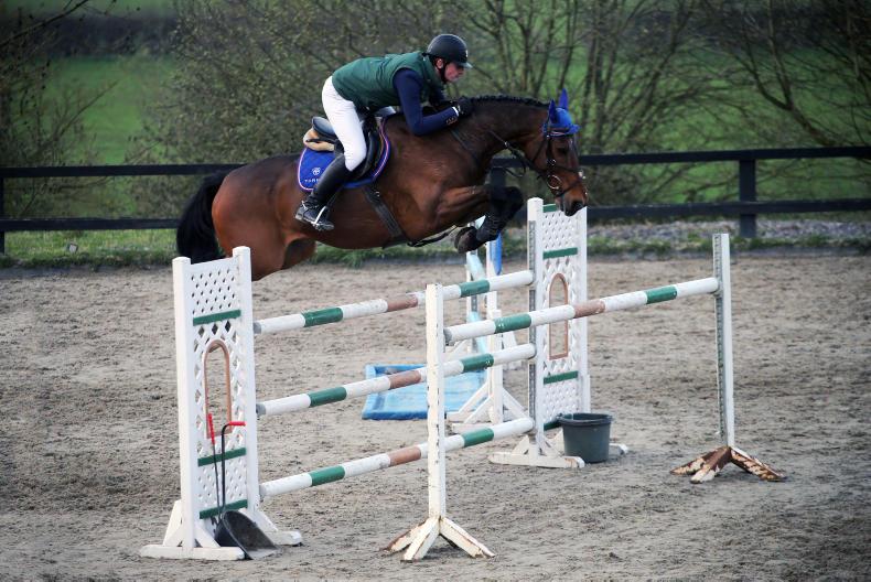 Review: regional leagues a popular way to produce horses Review: regional leagues a popular way to produce horses