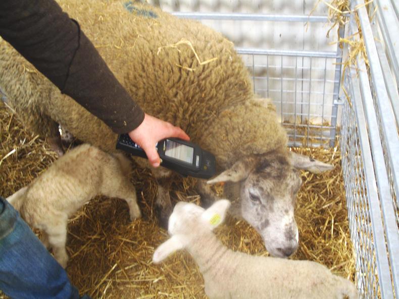 Cost the main barrier to adopting EID technology Cost the main barrier to adopting EID technology