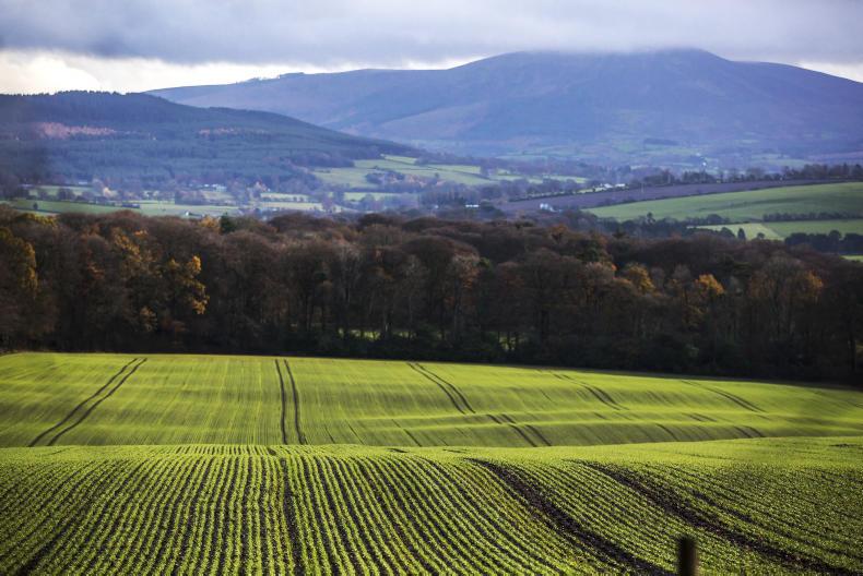 Tillage management: time to get things done to protect against winter Tillage management: time to get things done to protect against winter