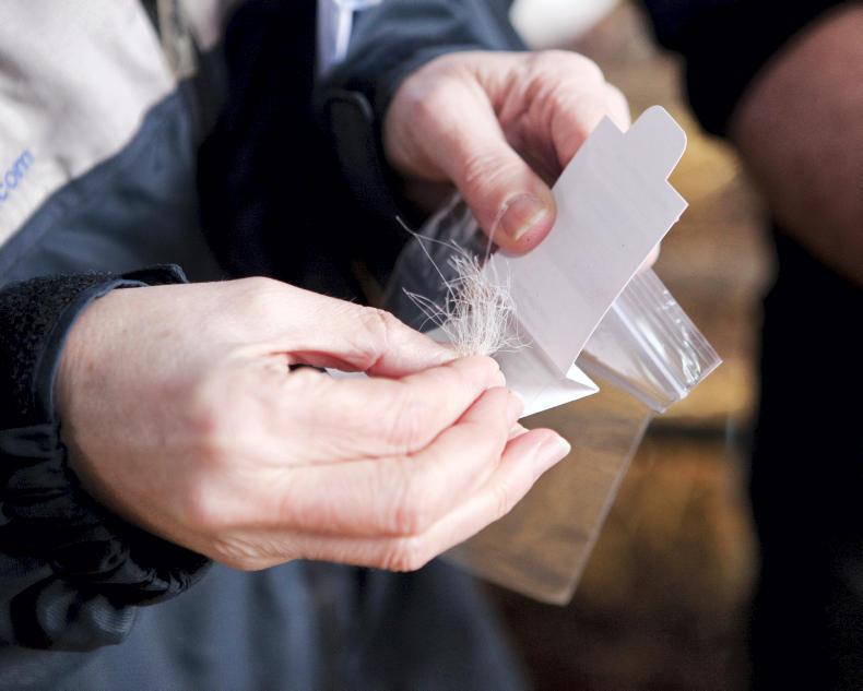 ICBF announces details of 2019 BDGP tag rollout ICBF announces details of 2019 BDGP tag rollout