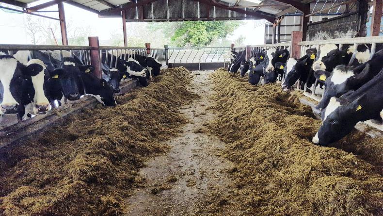 Dairy management: watch your diet Dairy management: watch your diet