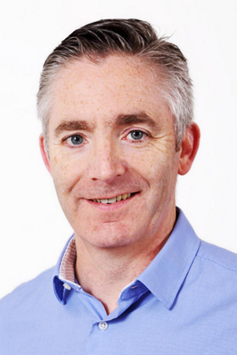 Bitter sweet memories from 2018 Bitter sweet memories from 2018