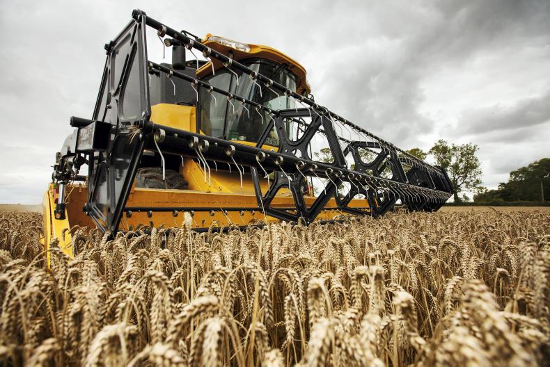 Bitter sweet memories from 2018 Bitter sweet memories from 2018